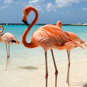 Meet your Posher, Pam